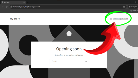 Shopify Password Step